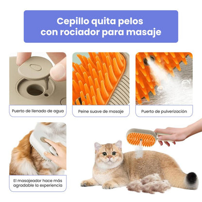CEPILLO A VAPOR Hydro Brush®